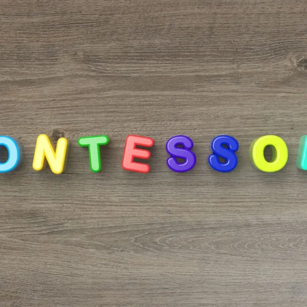 An image of Montessori Letter Block