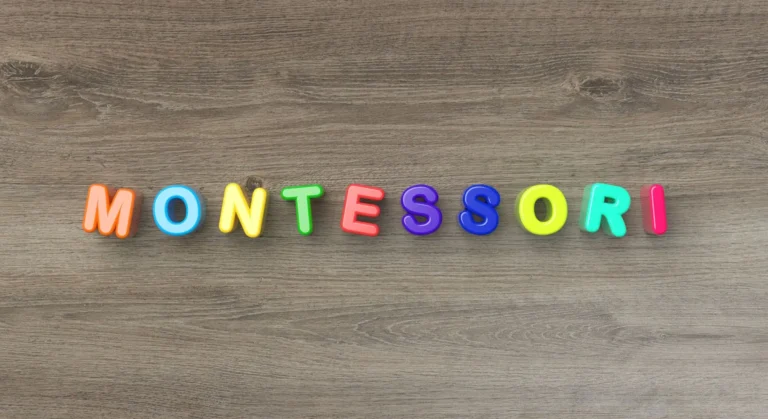 An image of Montessori Letter Block