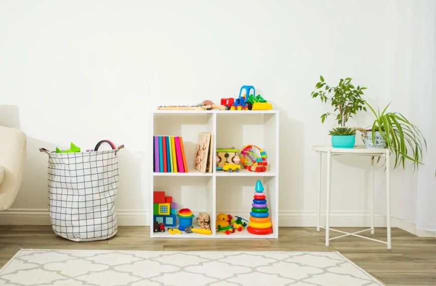 An Image of Toy Organizers & Storage Solutions like basket and shelf