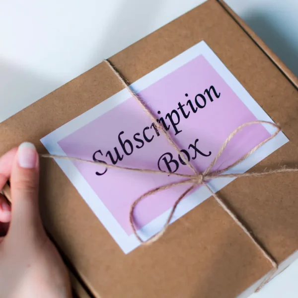 An image of toy subscription box